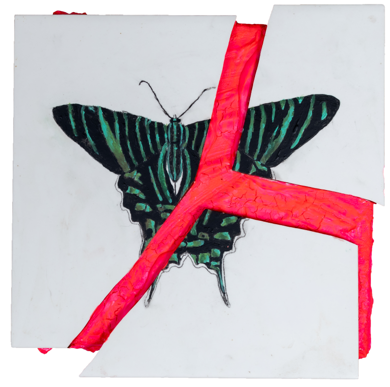 Mariposa II
