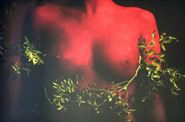 O corpo fértil / Arruda